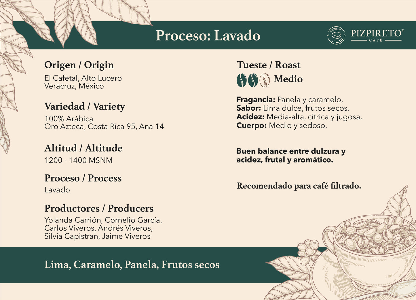Washed Process - Medium Roast