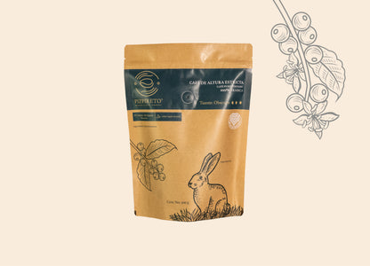 Washing Process - Dark Roast